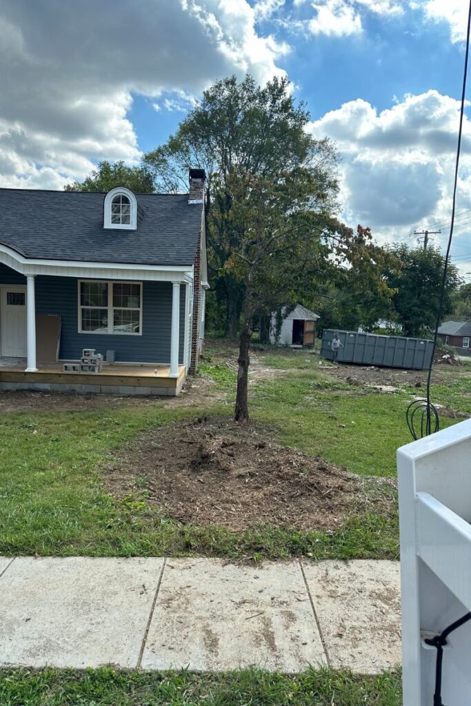 Land Clearing in Local house in Knoxville TN