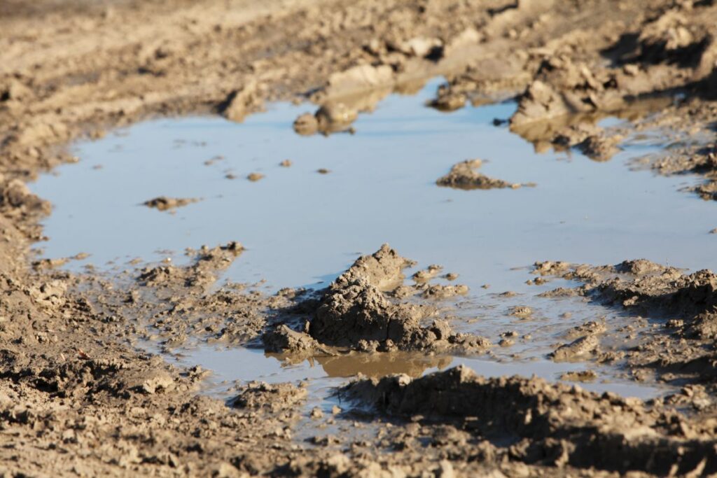 puddles on property need to land grading